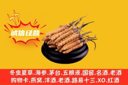 随州回收冬虫夏草